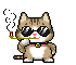 cat 27
